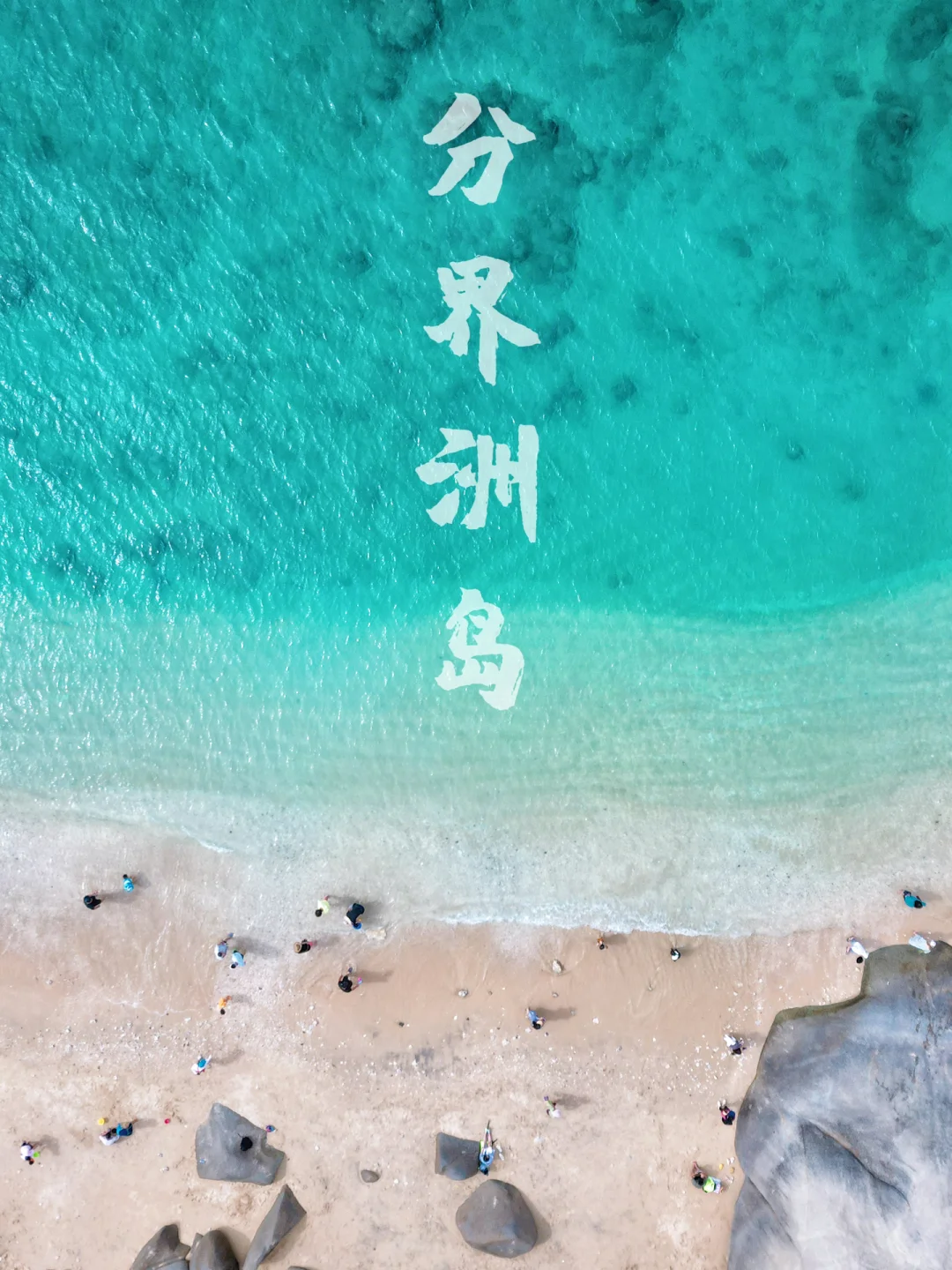 一定要带娃来分界洲岛🏝喂魔鬼鱼看果冻海🌊