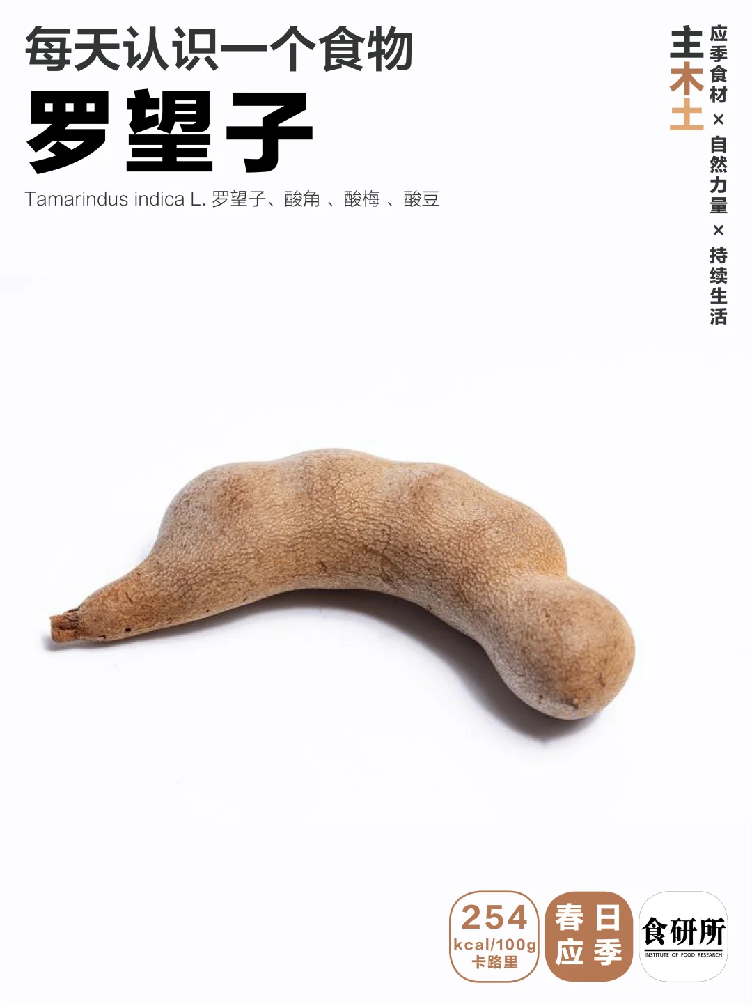 春的味道 | 酸角