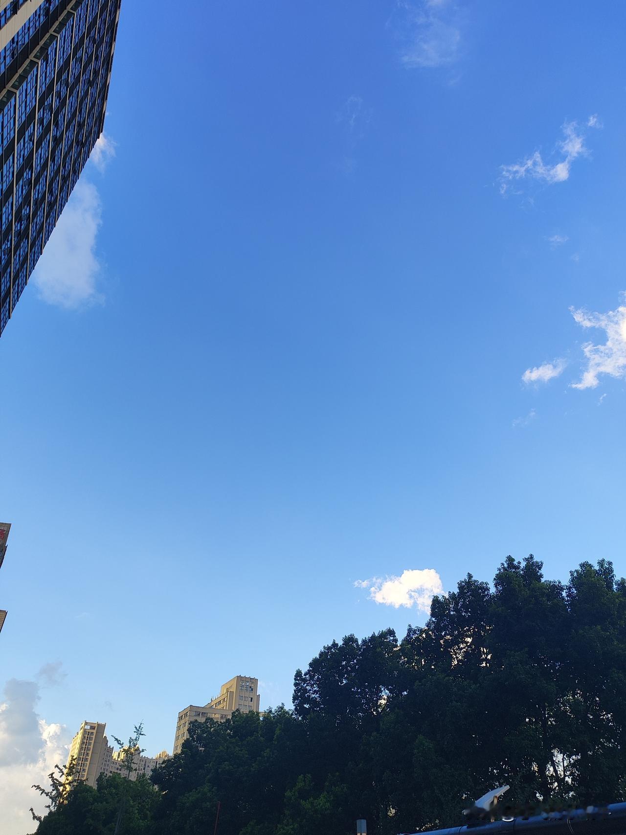 立秋的天空……
立秋这天，我也随手拍了天空。湛蓝的天空像被水洗过，几朵白云慵懒飘