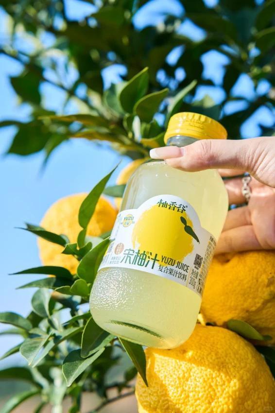 为啥“天然饮料”总翻车？中国人对“自然”的执念有多深

从宋柚汁到椰子水，这些号