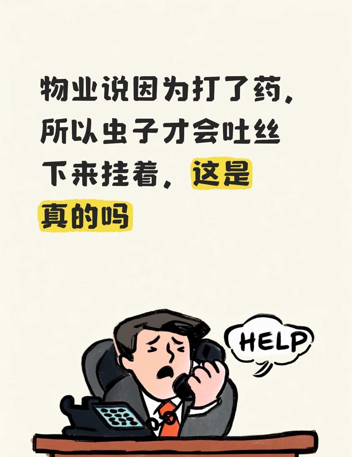 坐标徐州某一小区
这个季节树上有好多好多虫子，好多好多毛毛虫从树上挂下来吊着丝，