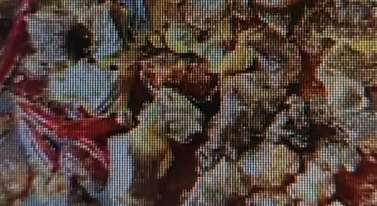 现在这个时节，红薯正当时！它可是个好东西，能安安五脏、强筋骨，还能平胃气呢。
红