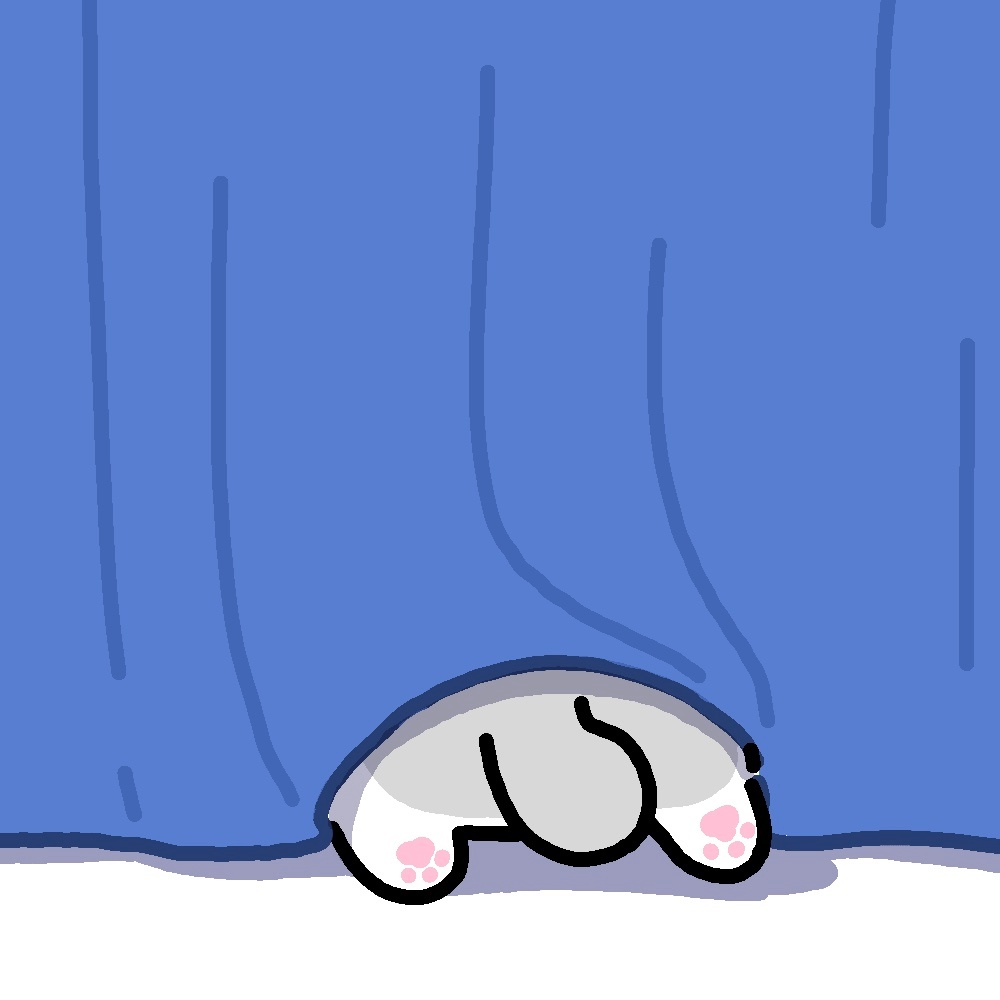 躲猫猫 
