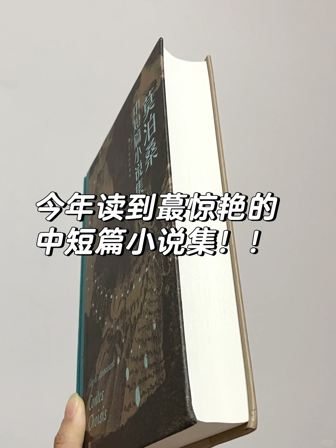 豆瓣9.4分❗️真的给这本书的水准跪了！！
