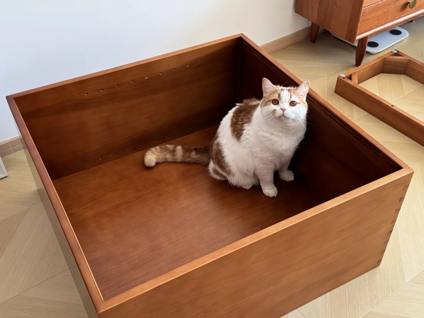 这是给我新买的猫砂盆嘛妈妈