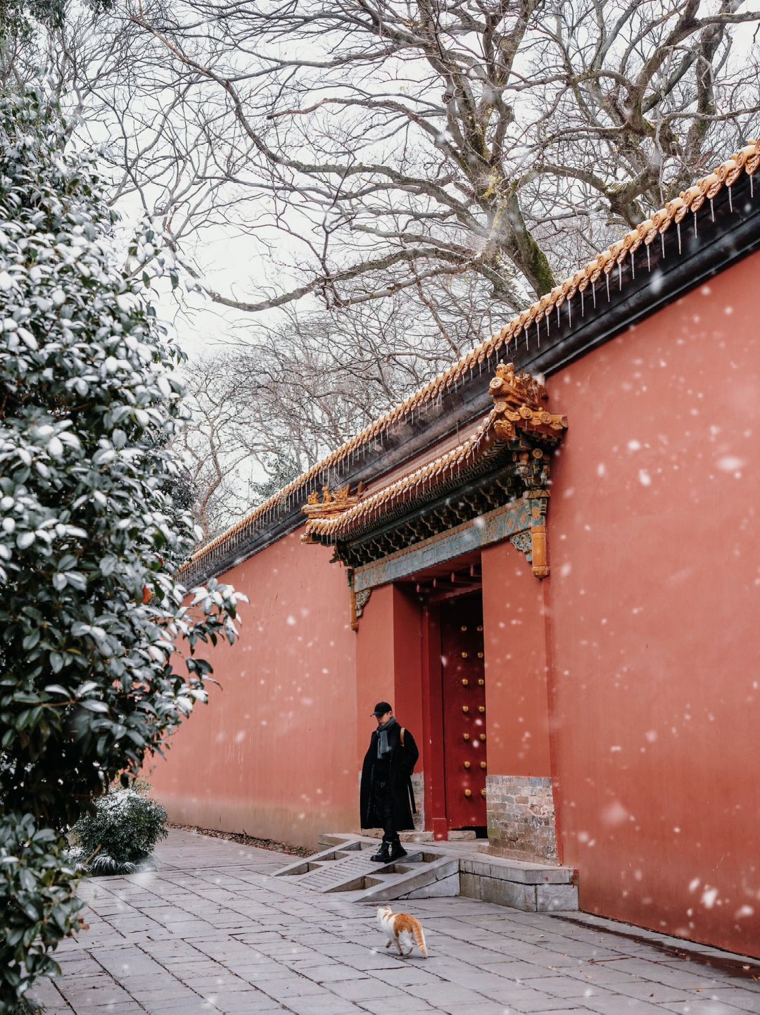 又下大雪啦❄️别上班了，快来明孝陵赏雪啊‼️