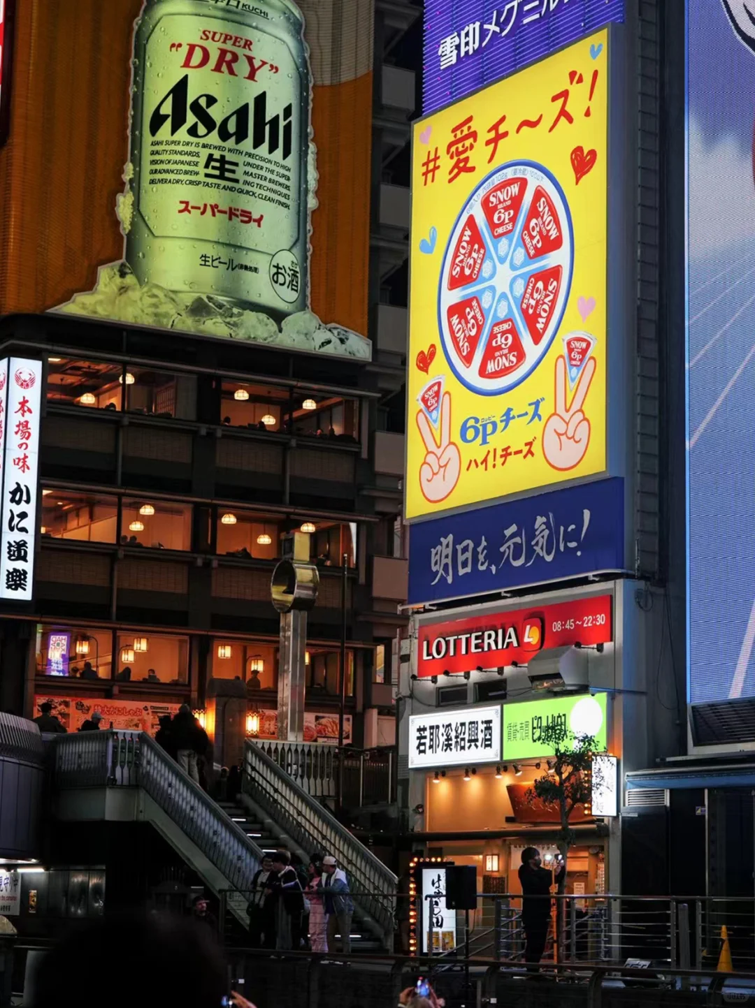 日本包车真比打车便宜丨接送定制双语司机