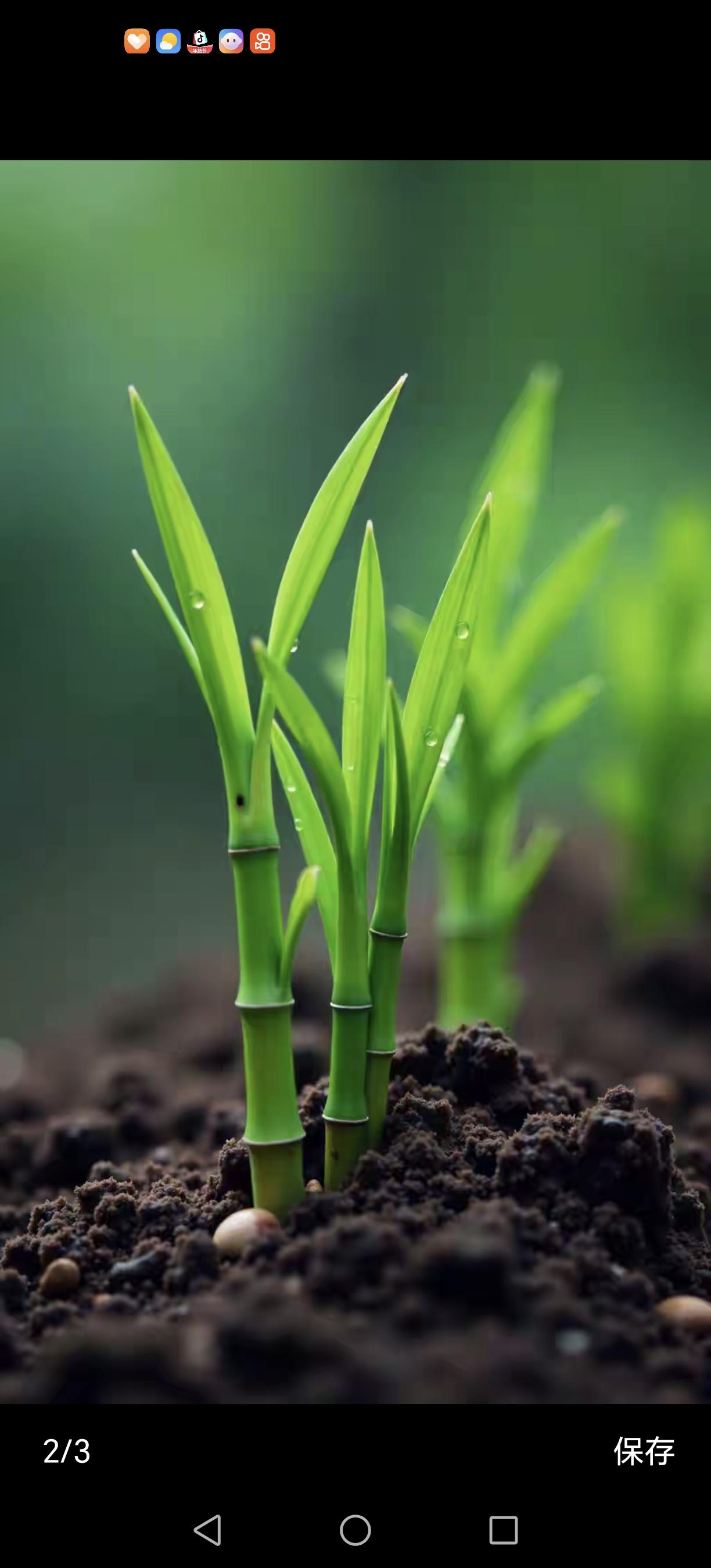 当你什么都不在乎了，你的人生才是真的开始

大家好，今天咱们不说那些华丽的词藻，