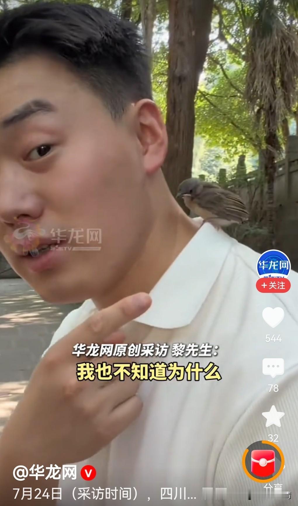 一对情侣去寺庙里还愿，偶遇神奇小鸟停在男生肩上不走，好神奇！

重庆姑娘和男友在