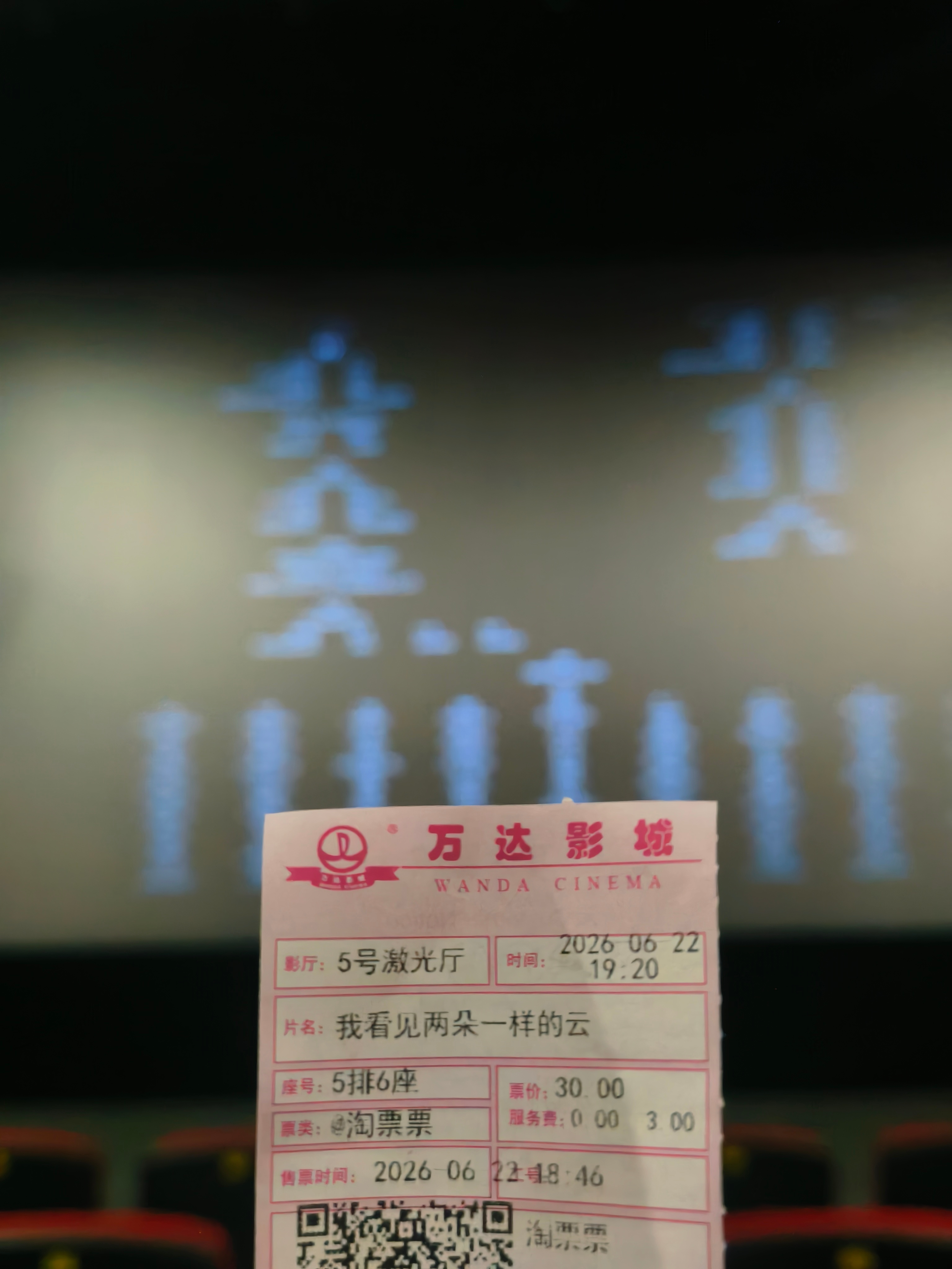 我看见两朵一样的云（2026） 我的评分：题材很新颖 画面震撼 阿志这个角色好生
