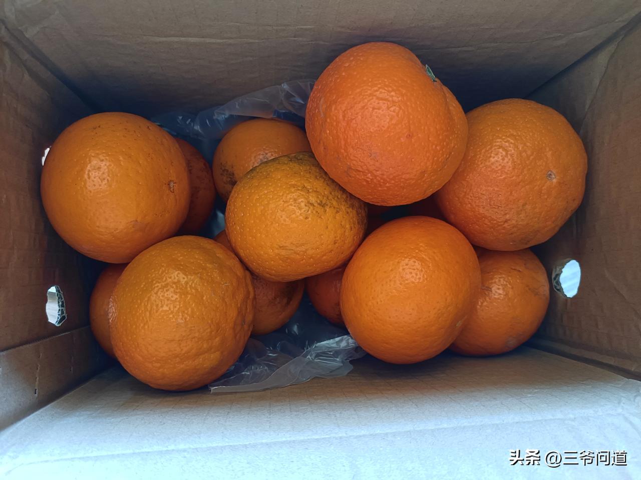拼多多上买的广西沃橘，八块钱不到5进，水果到了，卖相很不错，味道也可以，拼多多真