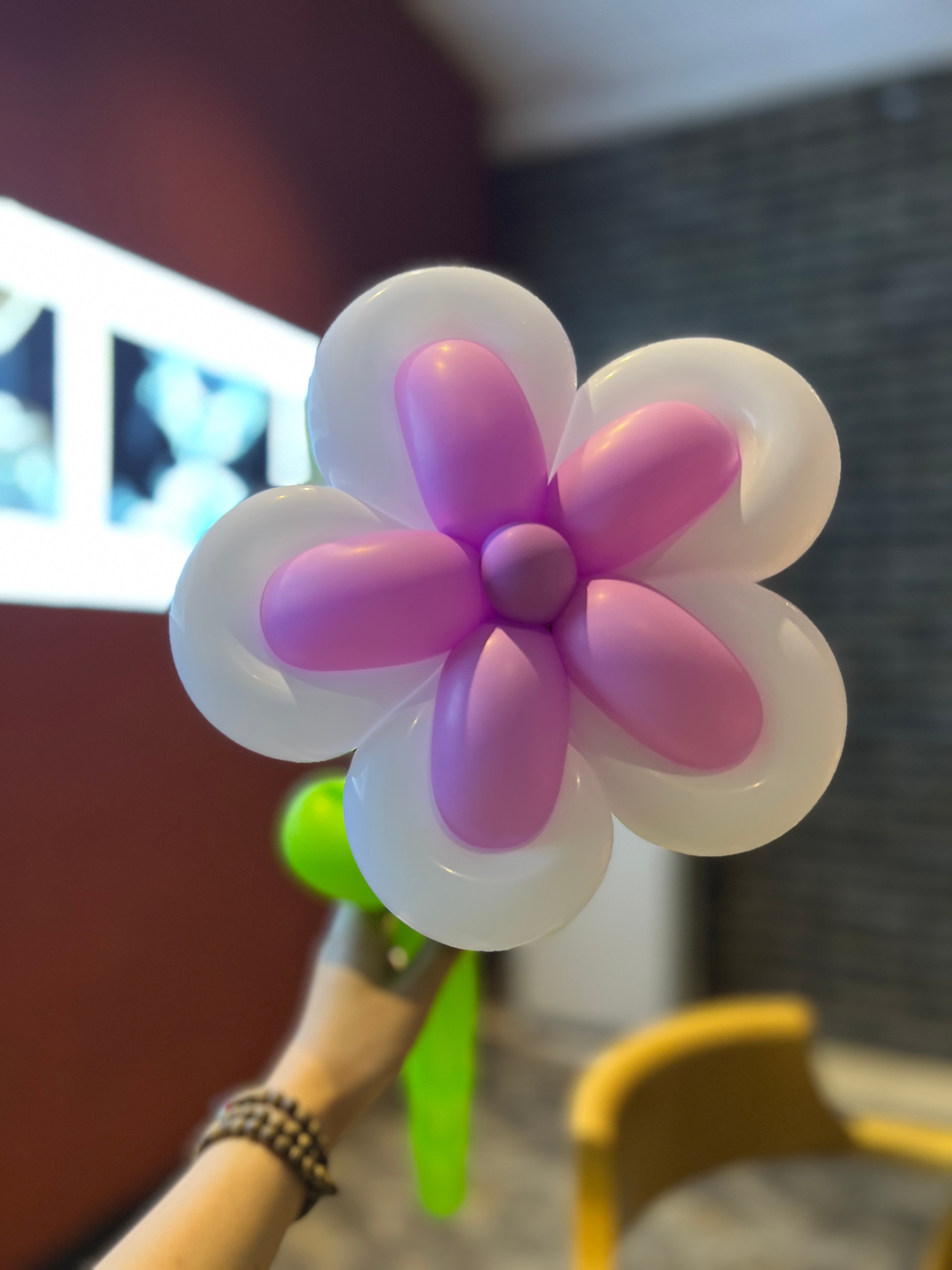 🌸🌸 