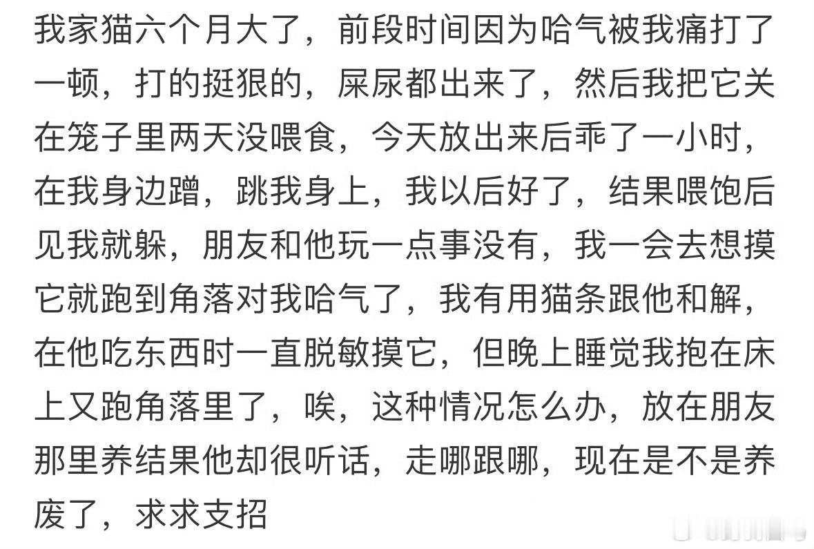 打完猫以后它不信任我了怎么办被一只猫冷暴力了3年