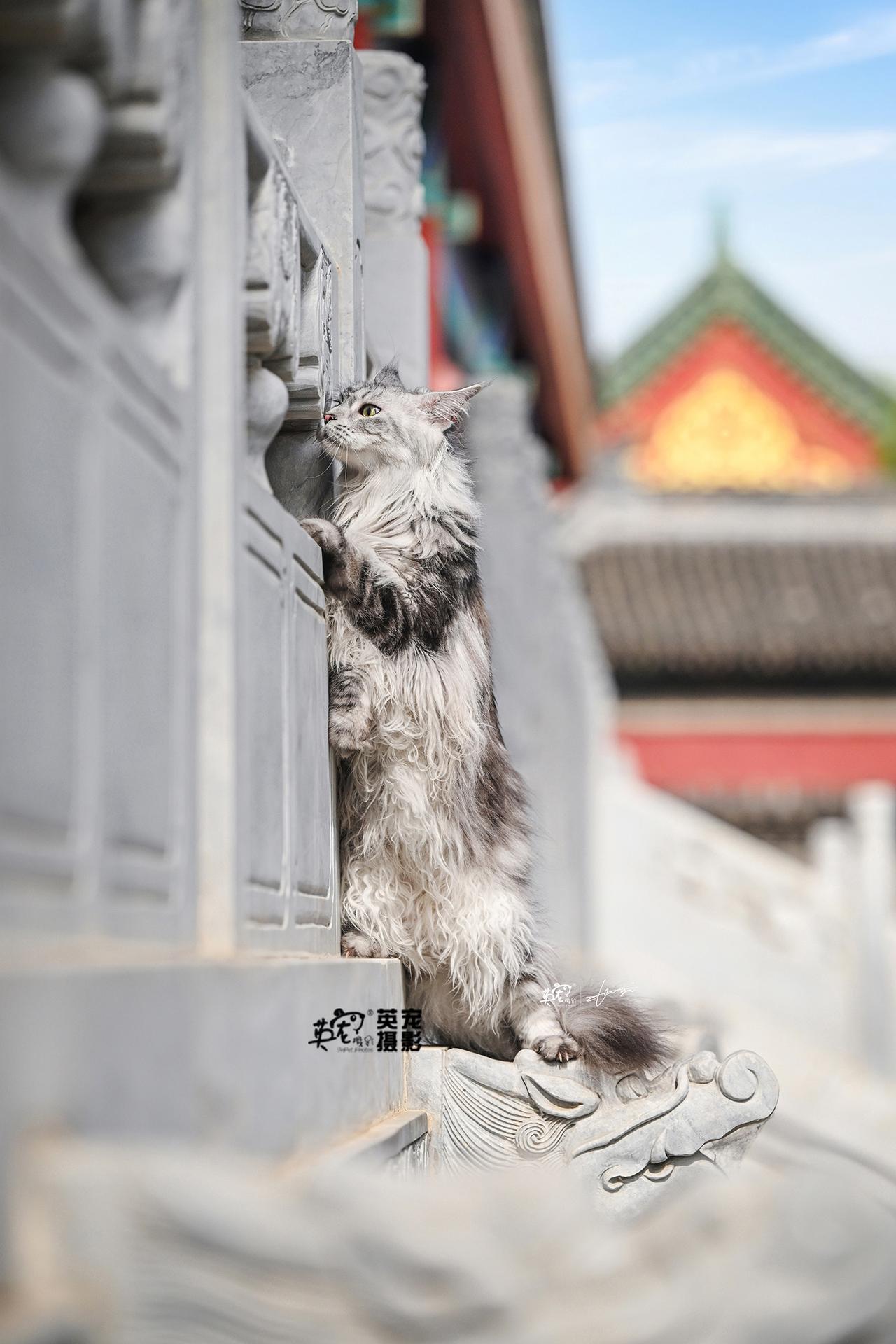 图一：目睹了甄嬛陷害乌拉那拉.宜修的全过程
图二：仔细看看
图三：回过味来，我T