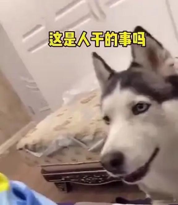 刚刚去吃饭，可能听到一个商业秘密：一个35左右的中年妇女，说要去学什么女性什么什