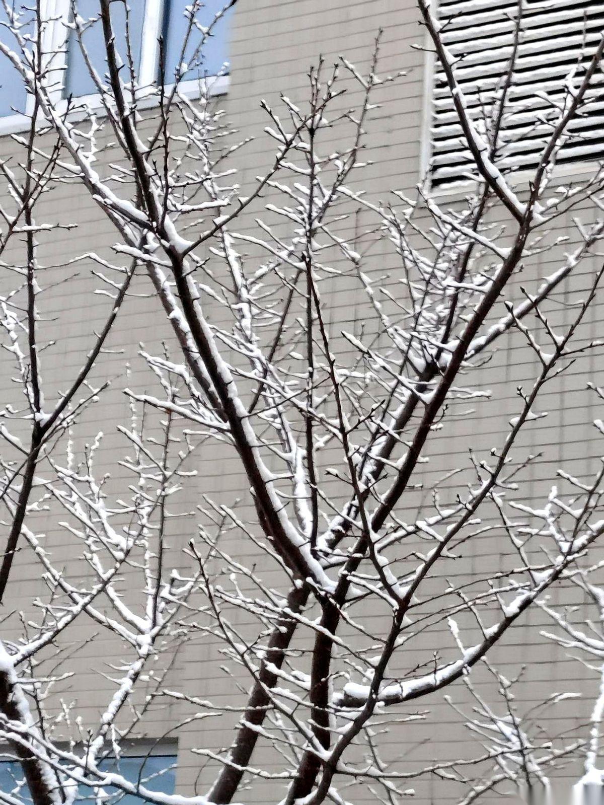 医生说，熬过这个冬天就成。
我当时就想问问他，什么叫“熬”？
拿什么熬？拿我七十