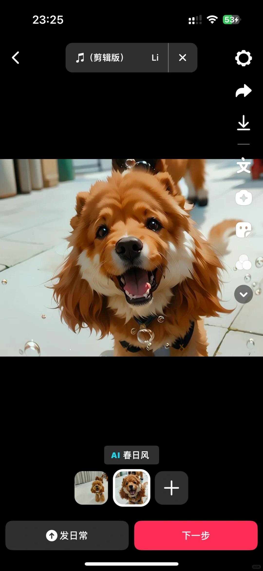 养了一只小狐狸🦊