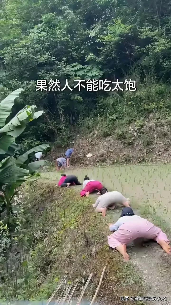 几名城里退休的老太太组团到云南旅游 ，看惯了高楼大厦，钢筋水泥的她们被乡下的青山