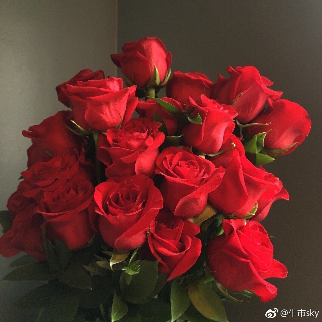 乐观主义者仅仅凭希望二字就可以活下去，而悲观主义者每次选择，最先考虑的是最坏结果