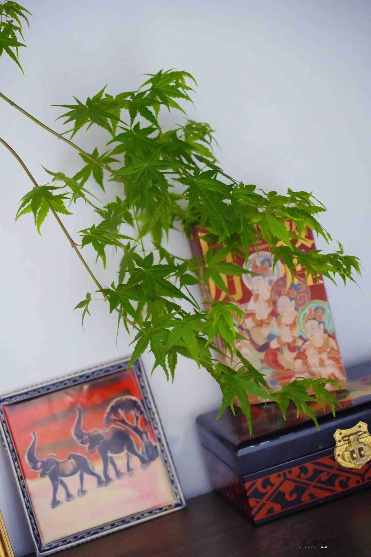 春天的家，处处生机勃勃。