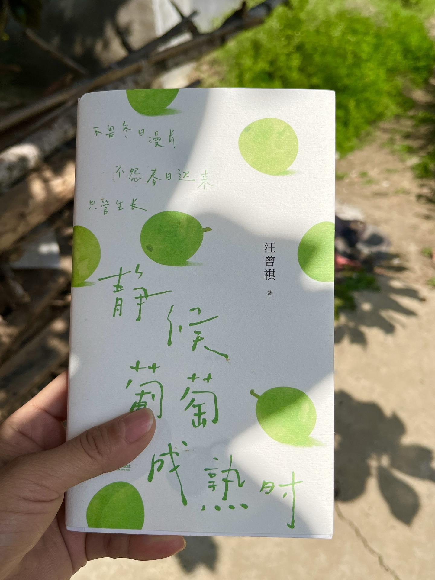 每次读汪曾祺，都会有不同的感受，真的很喜欢他的文字。葡萄何时先熟透，你...