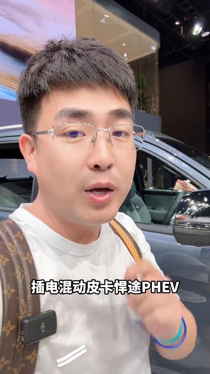 皮卡界