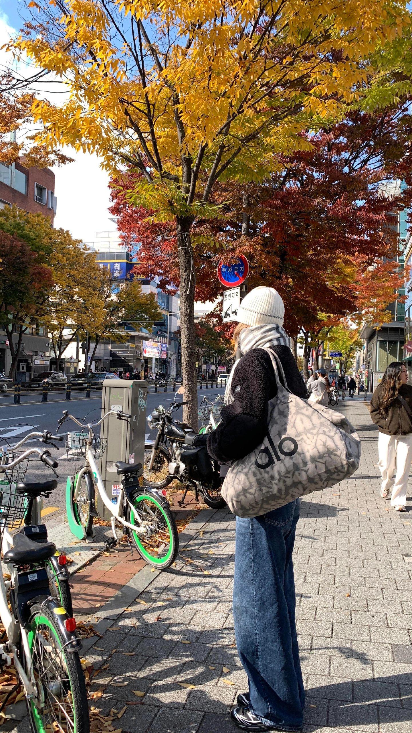 又到了听if you的季节