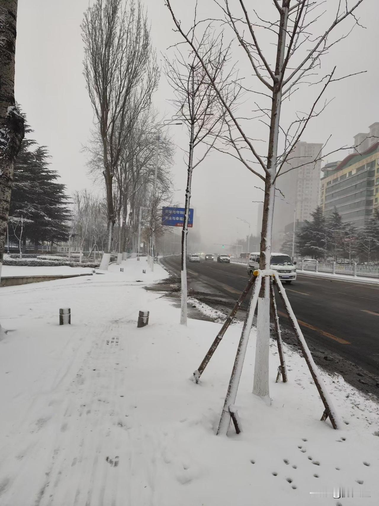 我心目中最伟大的人是袁隆平院士。他一生扎根稻田，头顶烈日、脚踩泥泞，把论文写在祖