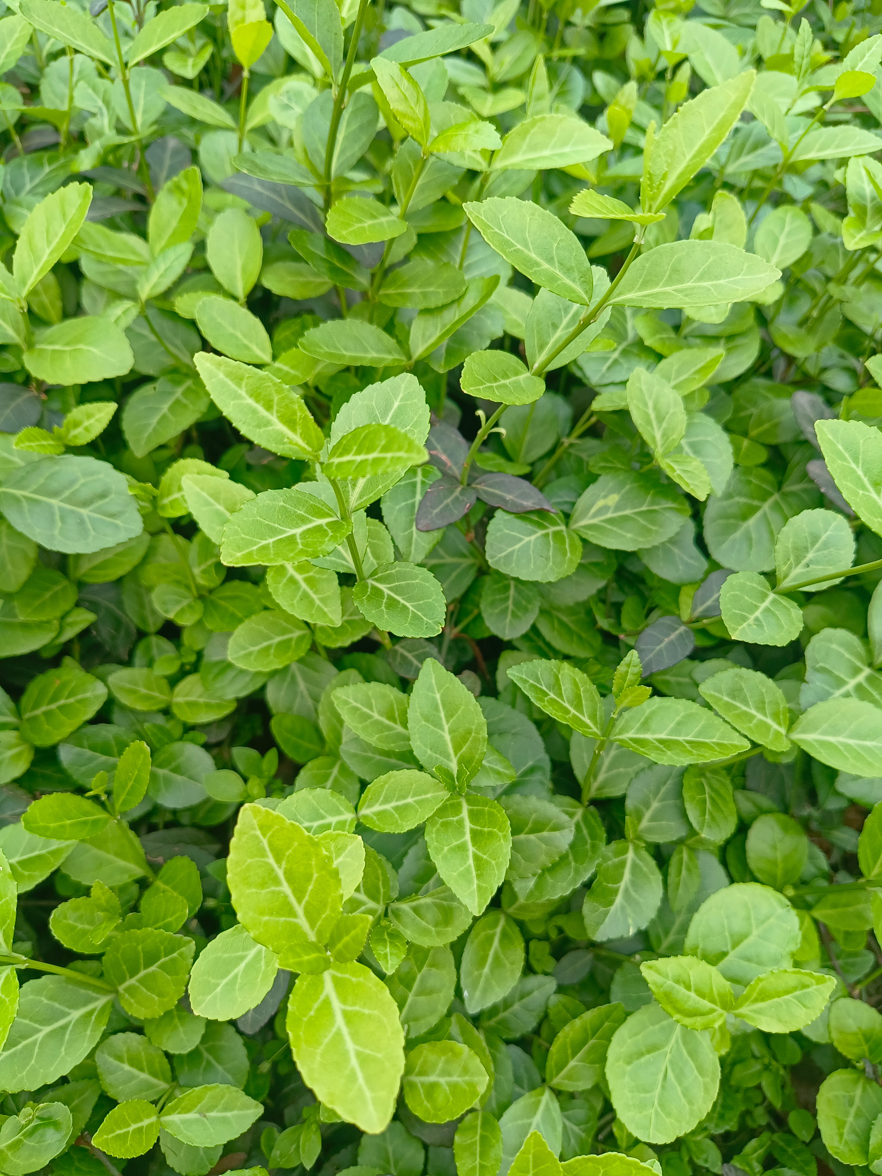 有时候治愈自己最好的方式，就是把心交给山水，把社交暂时关掉。不用应付谁，不用猜情