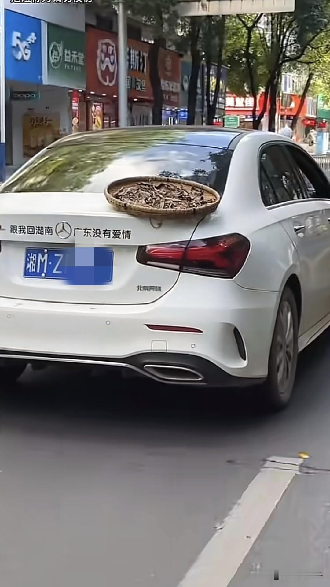 前面的司机，你把你奶奶晒的鱼干拉走了