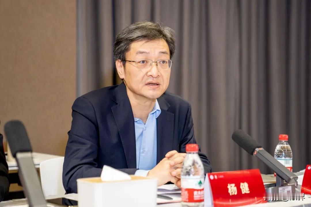 据近期多篇公开报道显示，上海报业集团副社长、上报国际传播中心主任杨健日前已经以“