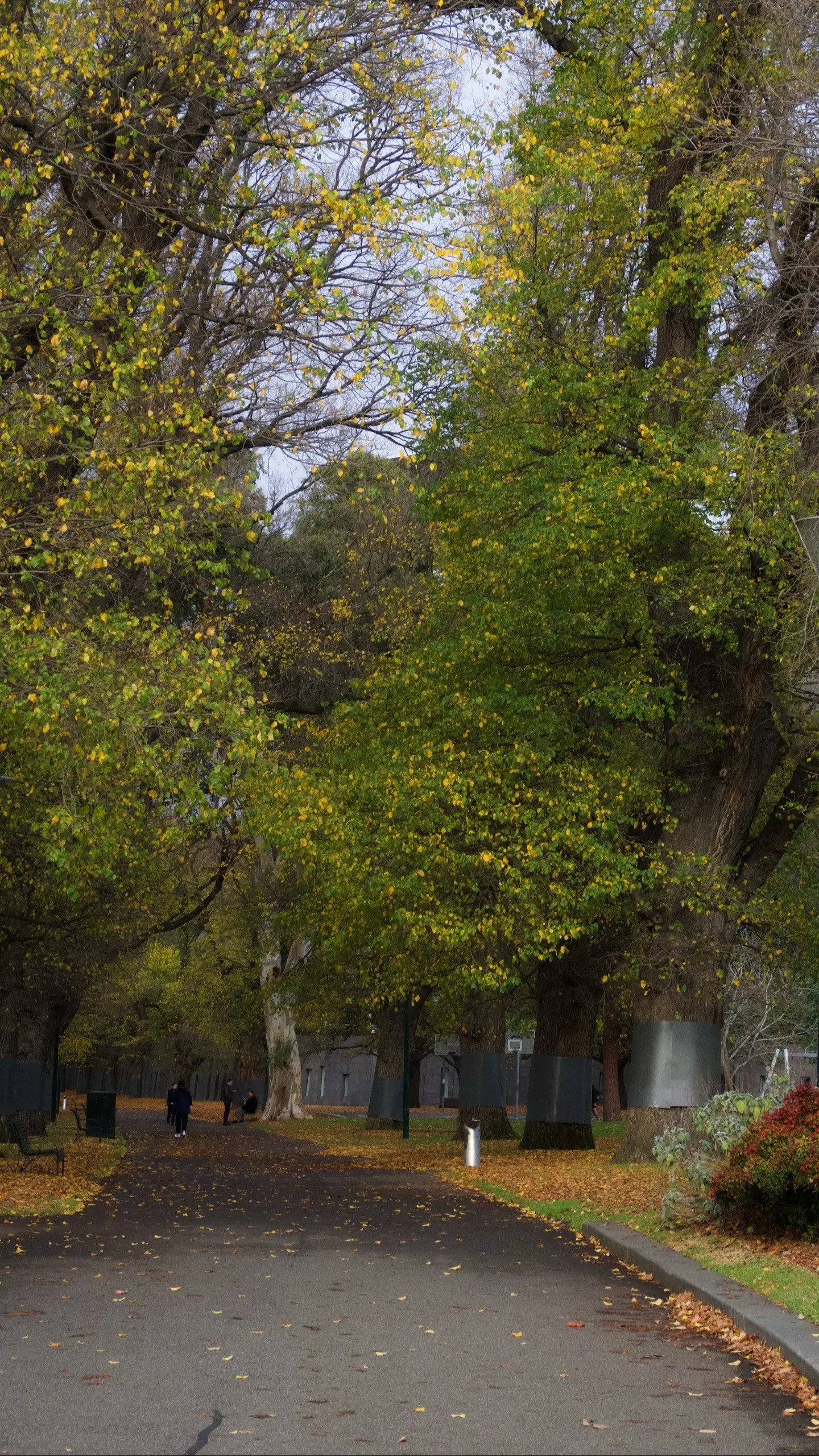 Fitzory Garden🍂。