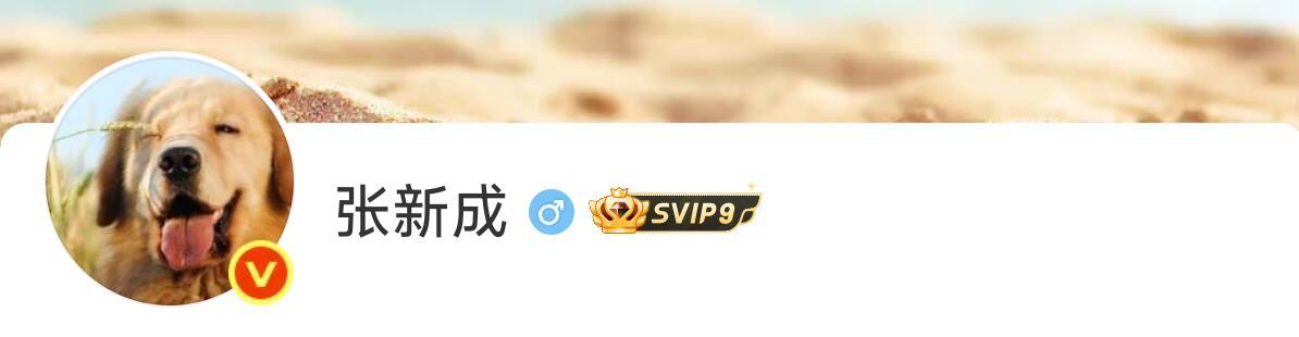 三个人的头像都很适配角色哈哈 