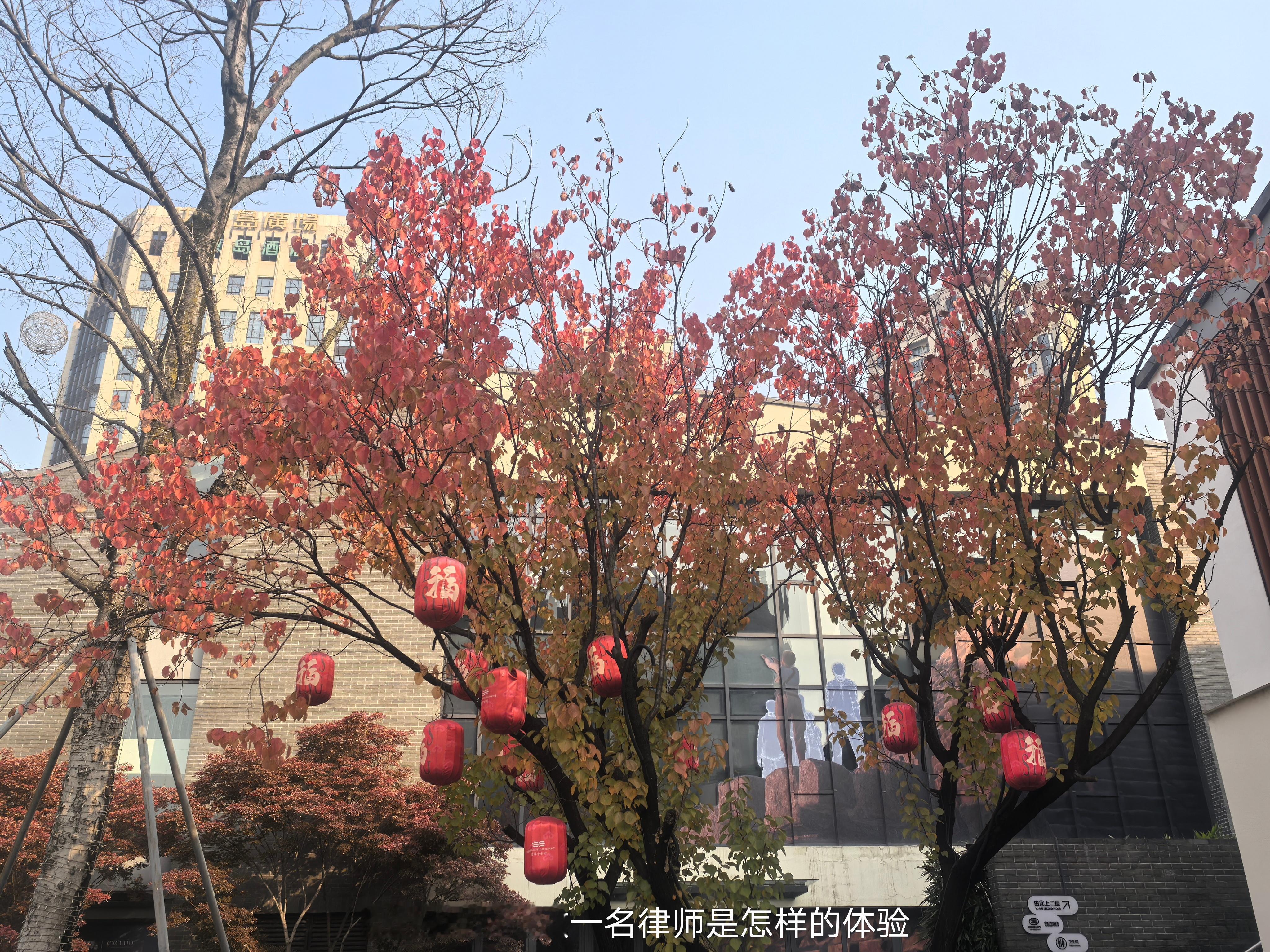 我始终强调、反复强调开庭的时候需要如实陈述，但如实陈述并不意味着什么都说，而是有