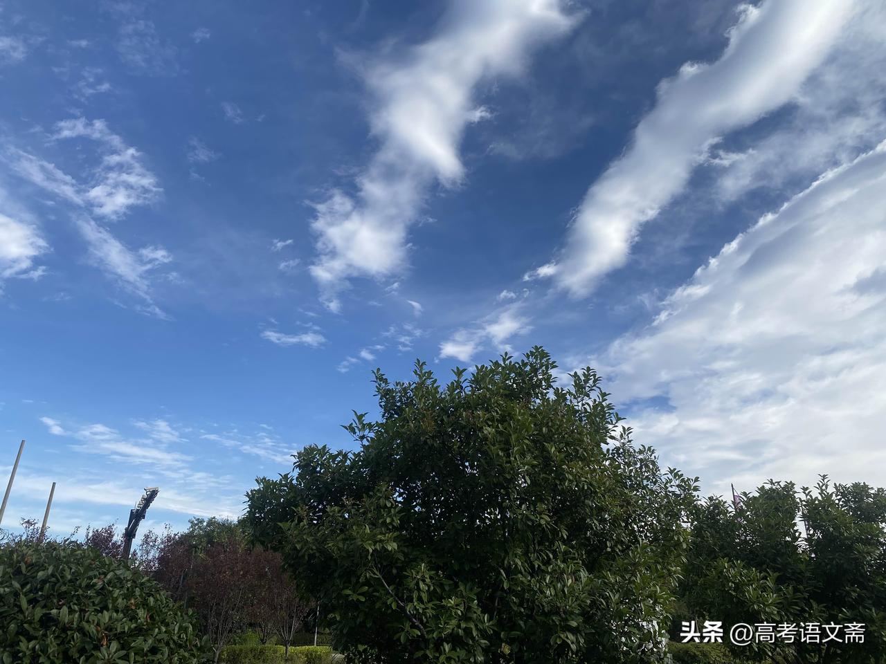 晒图笔记大赛蓝天白云，好天气，心情舒畅。