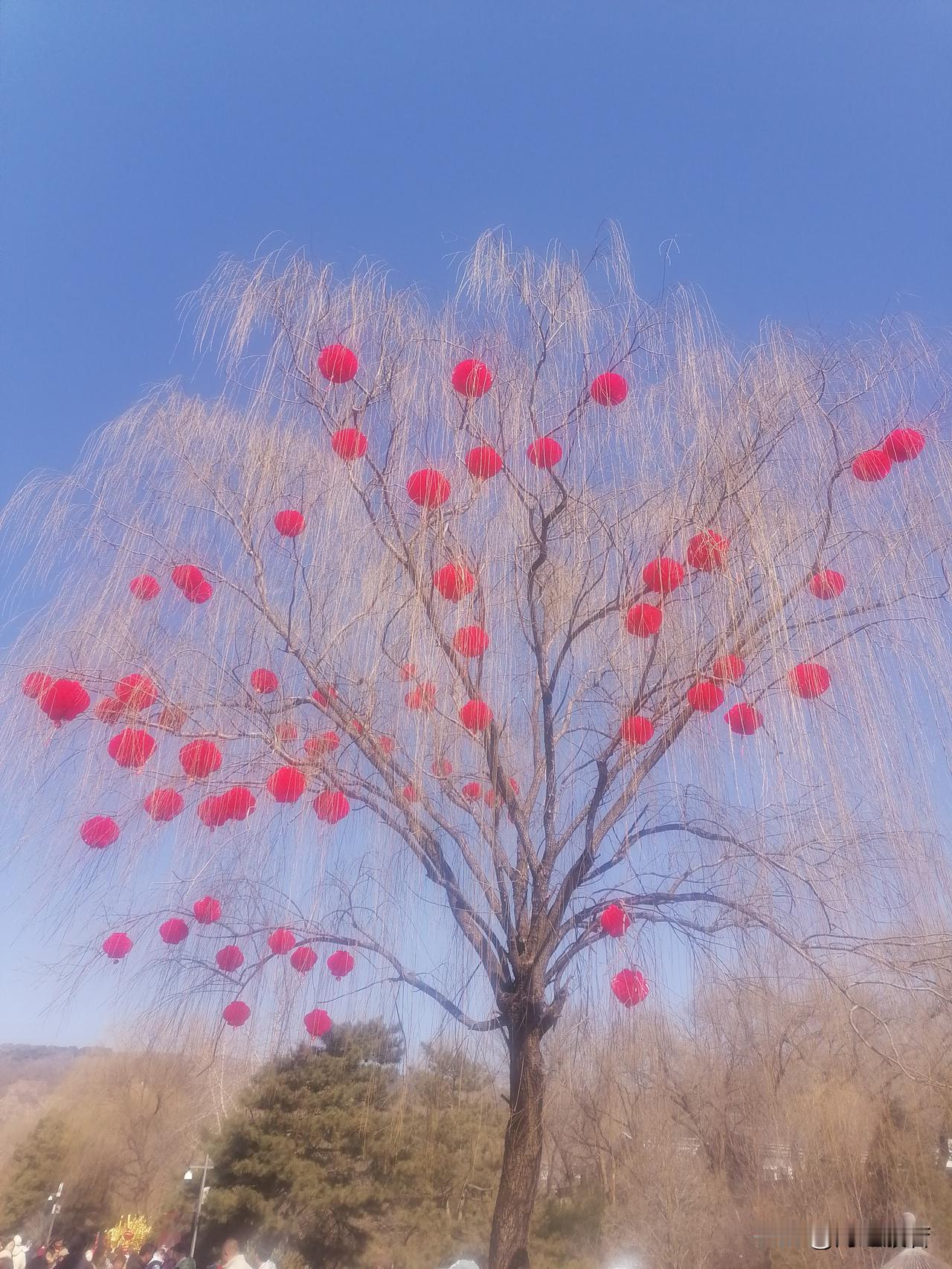 夫妻和睦相处一辈子难吗?先别说夫妻和睦，先说说女人，做女人难，做中国女人更难，几