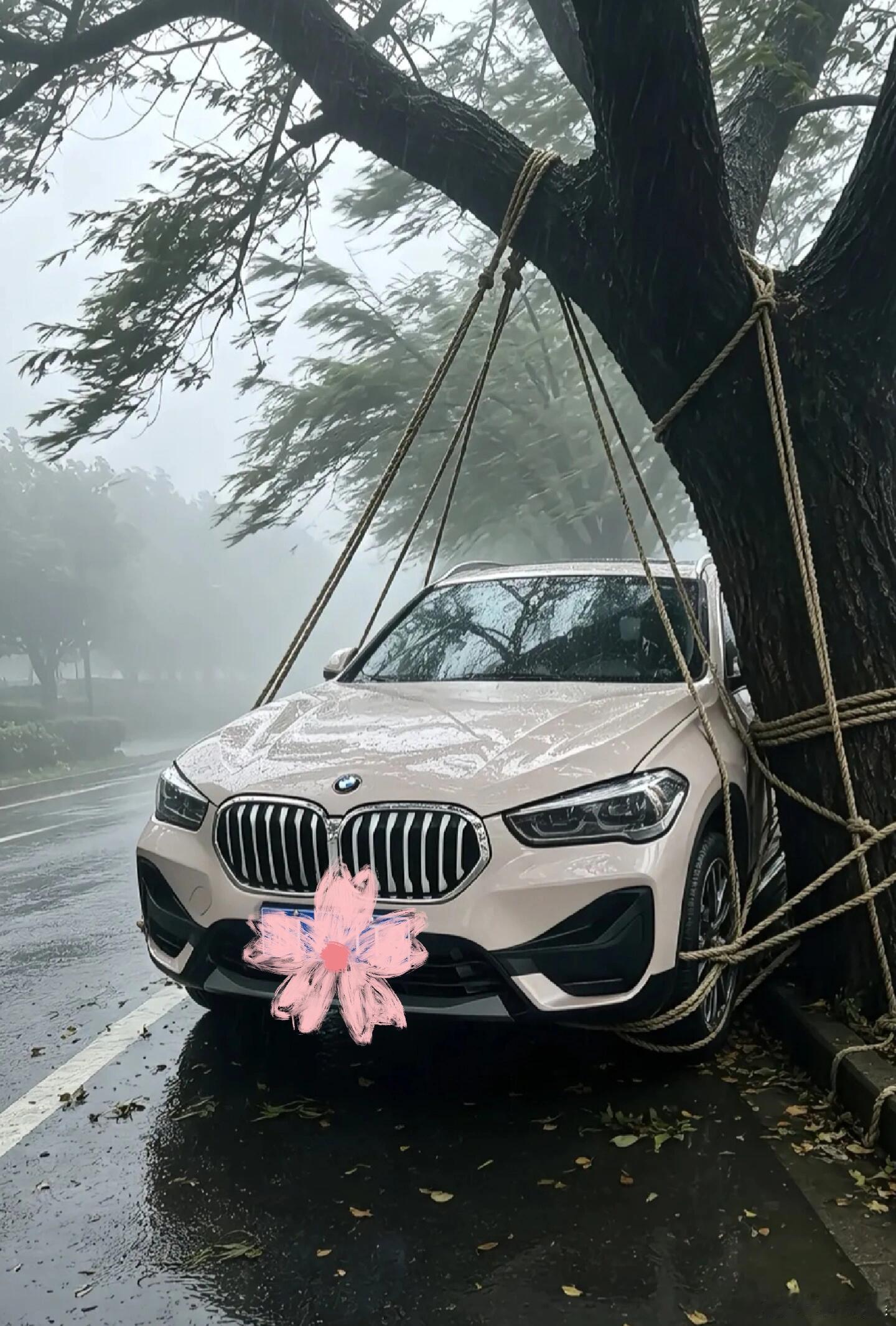 台风巴威 就等台风！车已停好！ 