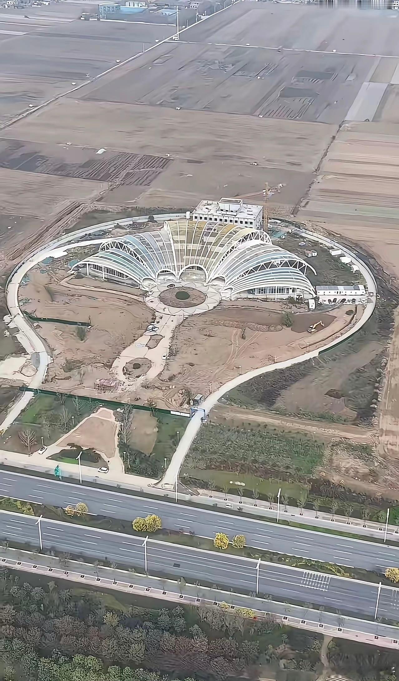 这就是当年许老板回报家乡的结果