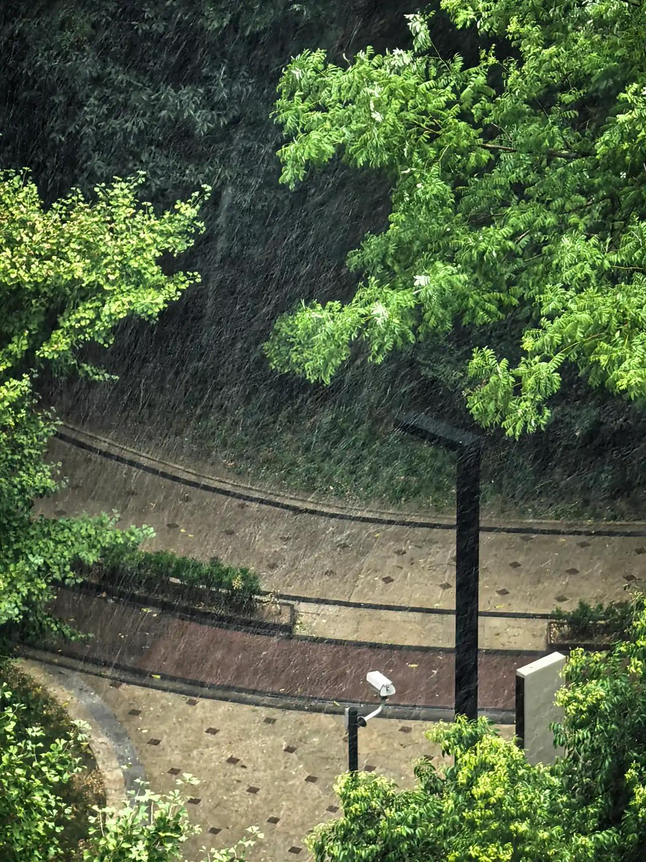 8月1日下午，重庆真的下雨了，不得不说小蚂蚁的天气预报太准啦！前两天办公室的同事