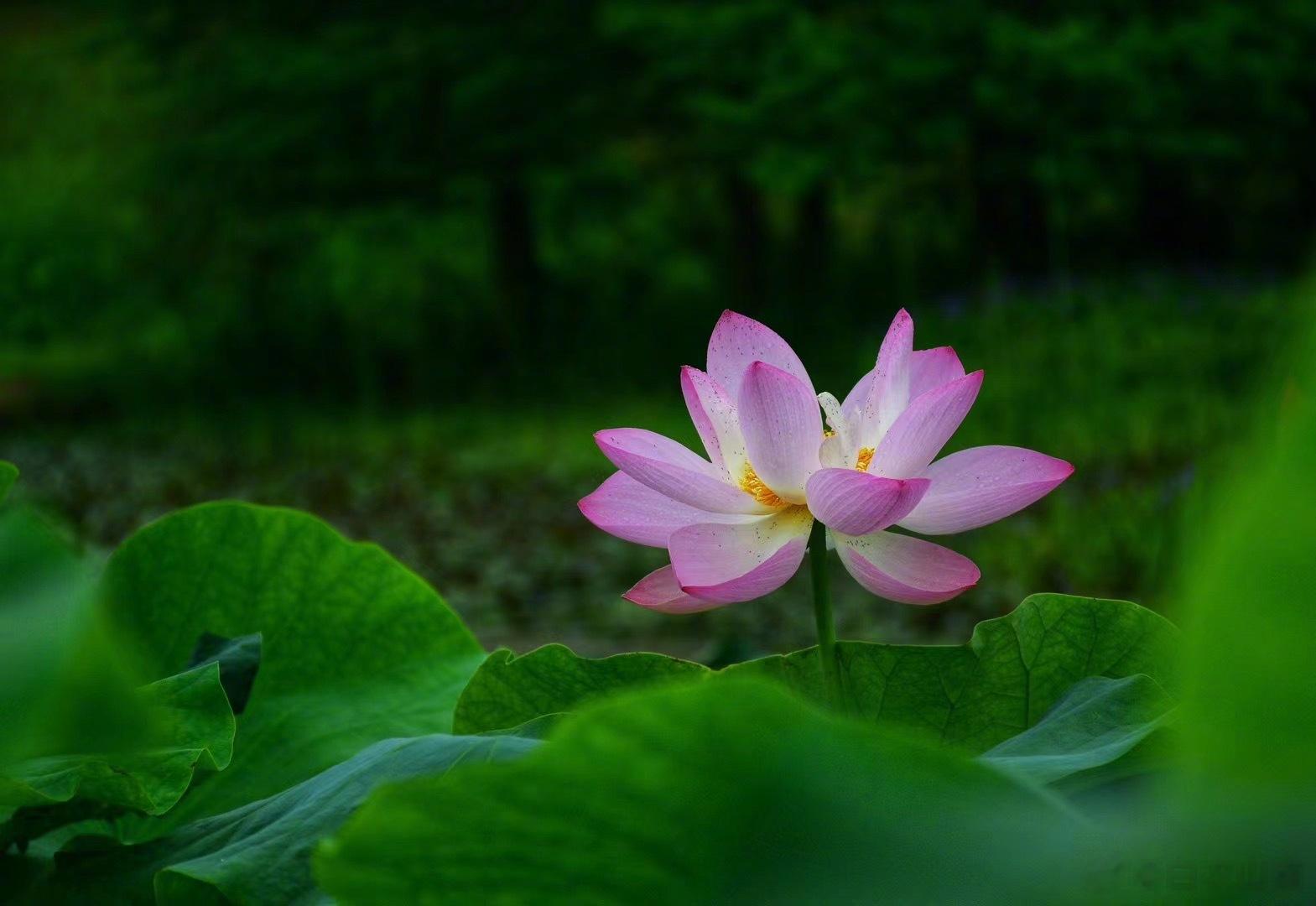 长辈给宝宝吃这些，可能会要了宝宝的命！今天，有朋友问，明天就要带宝宝会老家见父母