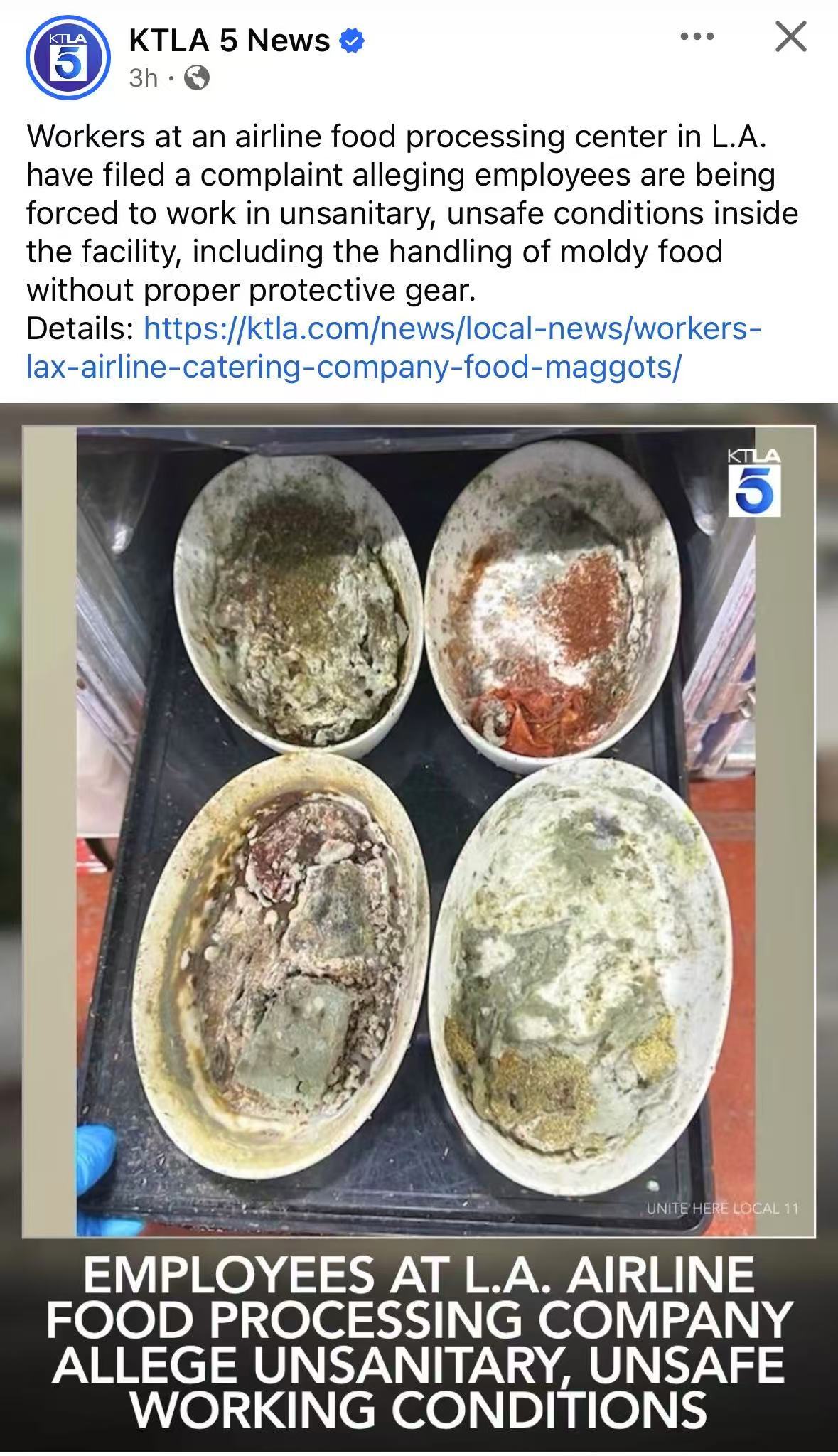 这也太恐怖了 