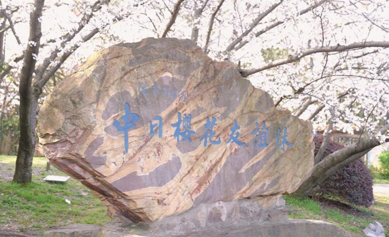 我国暂停中日地方友好活动，引起外界关注，日本深感遗憾。

近期，中日两国之间的地