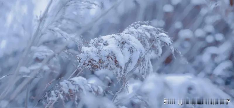 冬季一定护好这4个部位 冬季寒冷干燥，这4个部位可得好好护着。
皮肤首当其冲，干