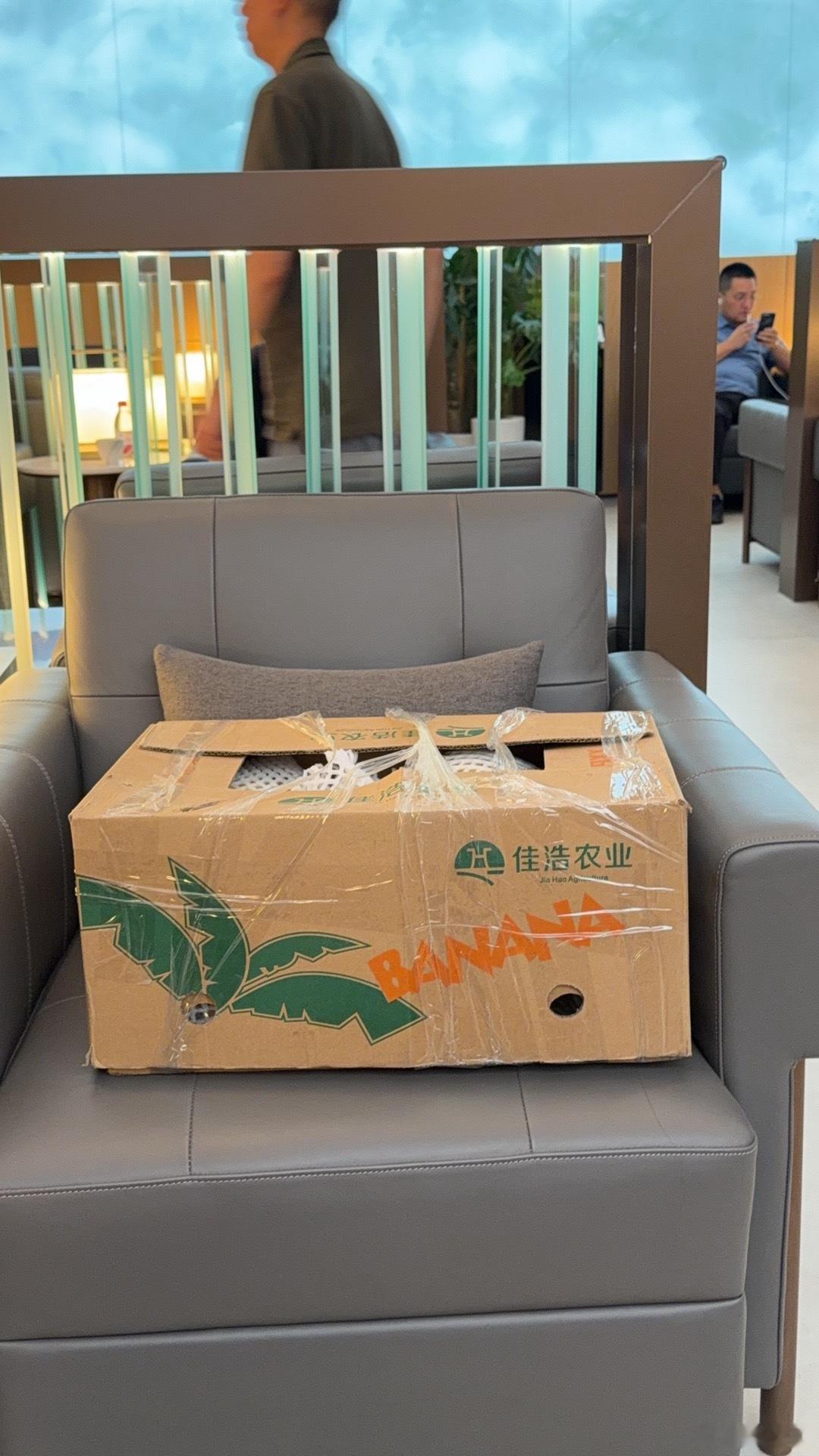 带着我的相机来到了乌鲁木齐背了10公斤老汉瓜回北京吃了一顿巨难吃的飞机餐（难道京
