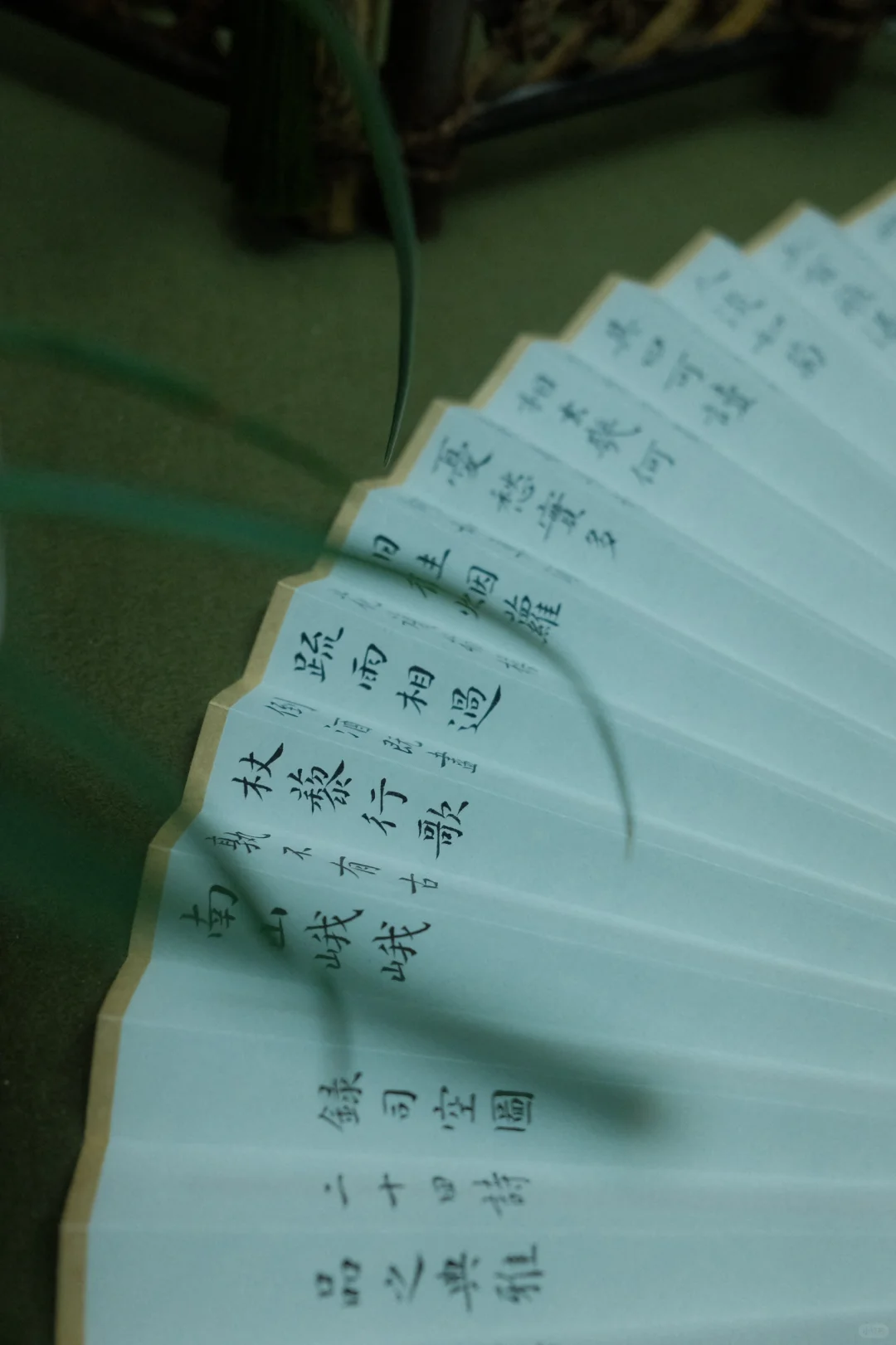 书法折扇｜落花无言，人淡如菊