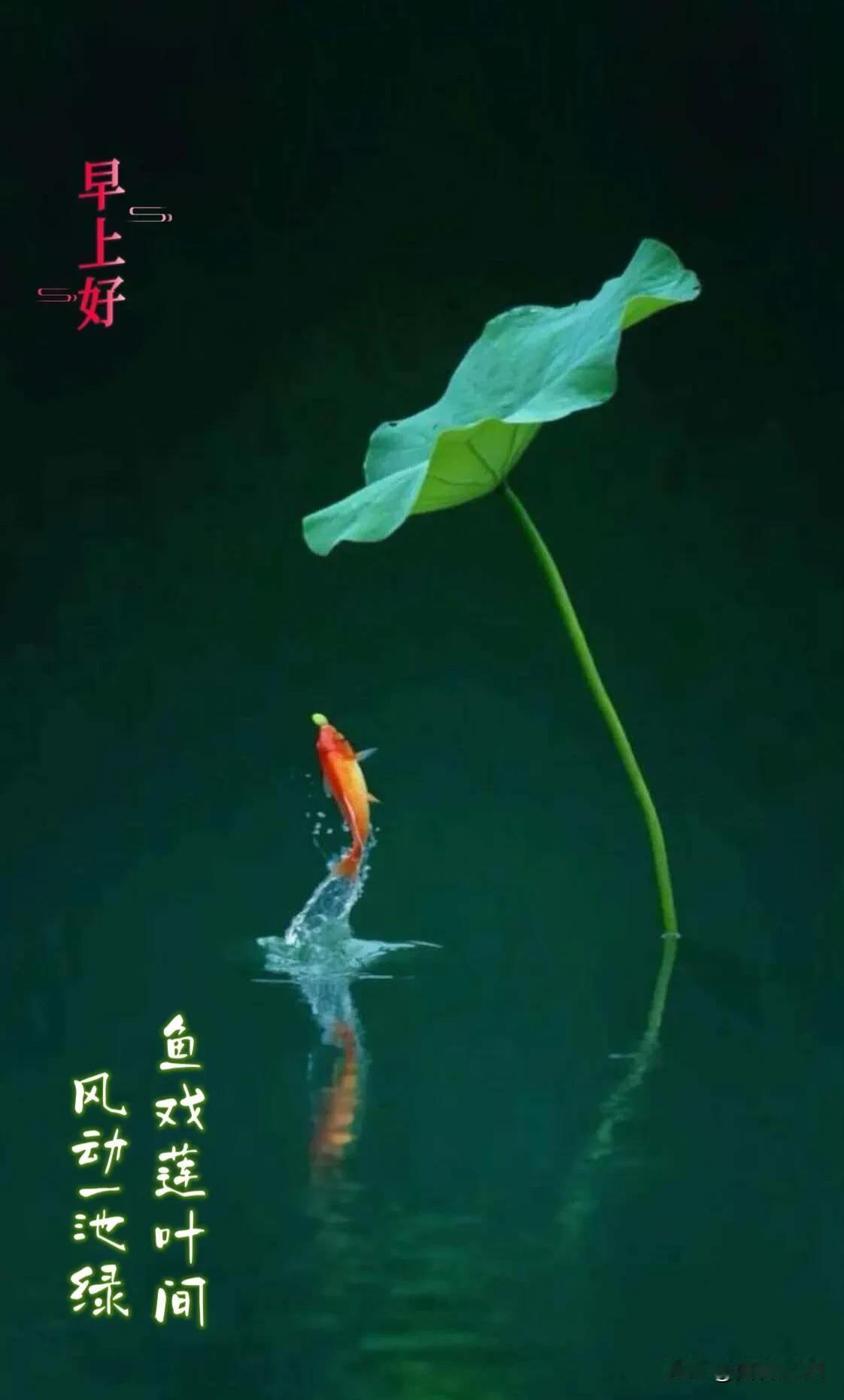  崭新的一天开启，全力以赴，不负时光不负自己。
