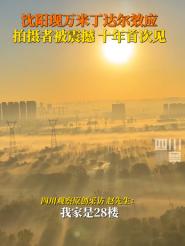 “跟仙境似的”2024年11月12日，辽宁沈阳出现了万米丁达尔效应，让拍摄者为之