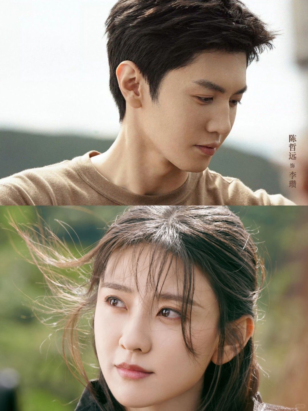 🆘二搭‼️白色橄榄树🔥he结局⁉️期待住了