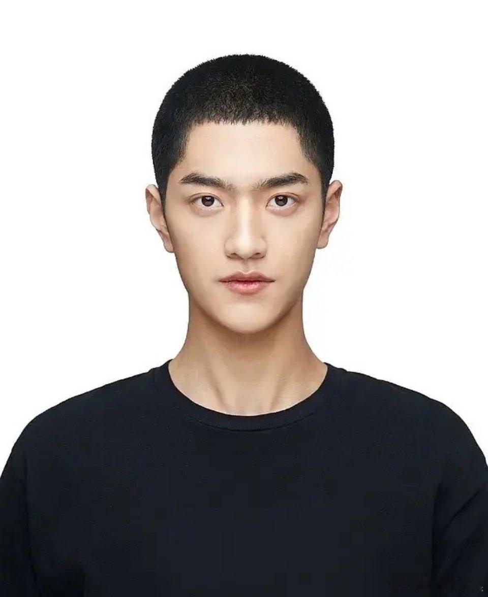 这是樱桃琥珀男二吗 张凌赫会不会被压 ​​​