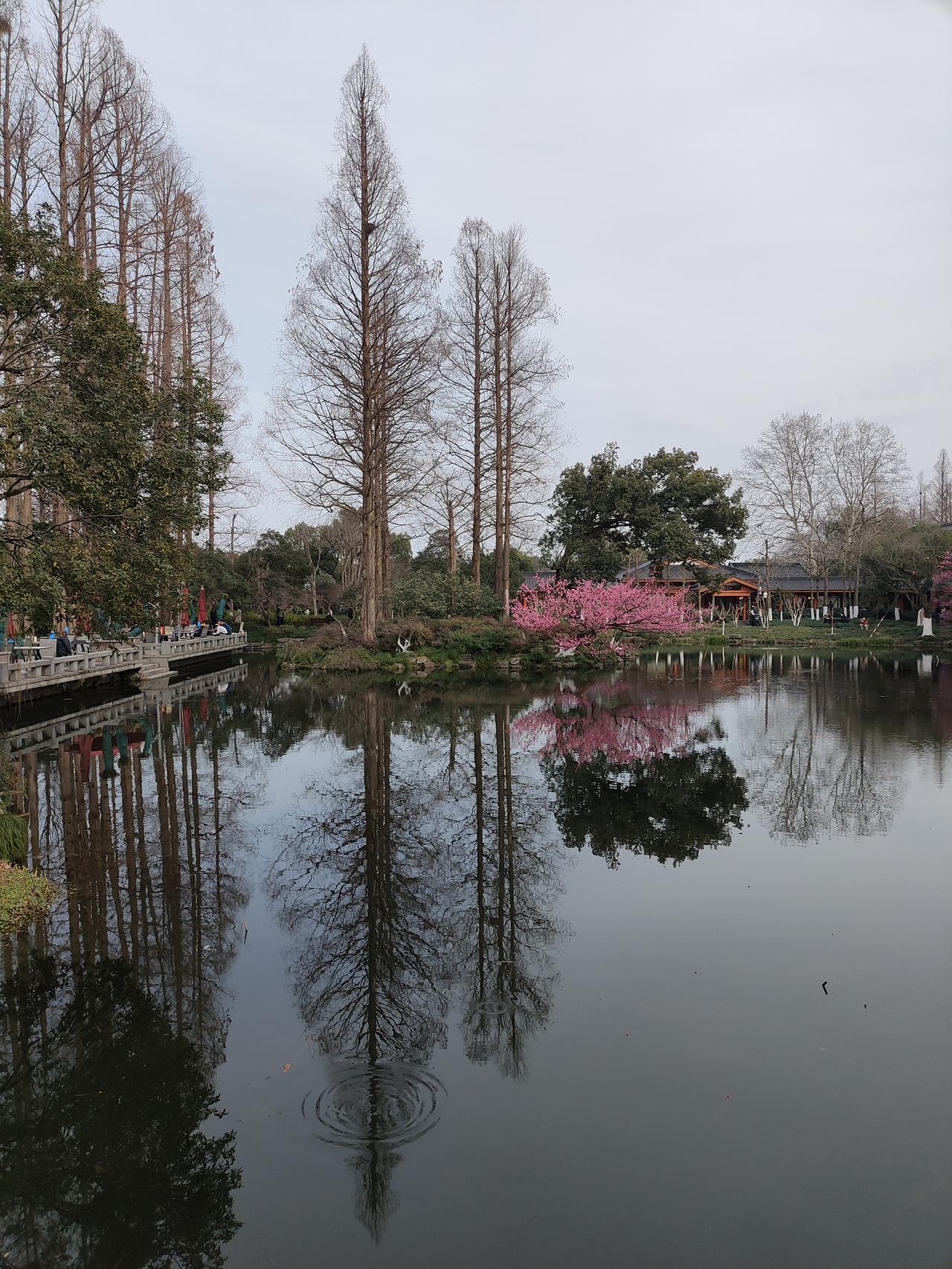 分享一下你随手拍下的照片